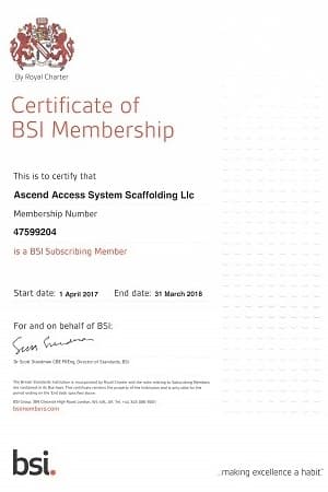 BSI Membership
